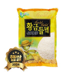 현대농산 국산 황금들녁 백미 쌀 4kg, 1개