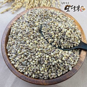 힘찬농부오달봉 국산 자색보리, 1kg, 1개