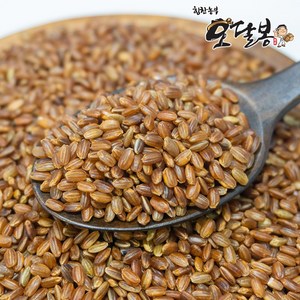 힘찬농부오달봉 국산 홍미 적미 붉은쌀, 1개, 2kg