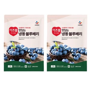 CJ프레시웨이 이츠웰 맛있는 냉동 블루베리, 1kg, 2개