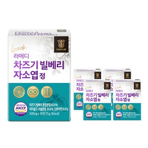 라메디 고농축 차즈기 추출물 빌베리 눈 자소엽 캡슐, 5개, 15g