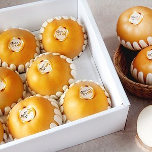 정성으로키운배 명품 나주배 선물세트, 03. 7.5kg 10~12과 내외 (선물세트)