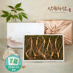 [산속의삼] 100% 국내산 정품 6~10년근 산양삼 산삼 산양산삼 장뇌삼, 10년근 프리미엄 10뿌리 (1상자)