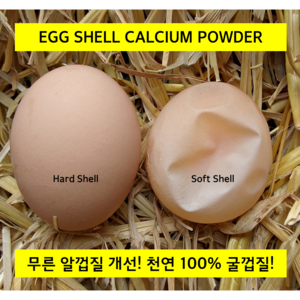 천연 굴껍질 5kg / 보레가루 앵무새 칼슘 미네랄 영양제 사료 패분 산란 사료혼합 닭모이, 1개