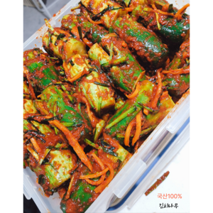 김치나무 갓담근 가정식 더건강한 엄마손맛 여행캠핑혼밥캔김치, 900g, 1개