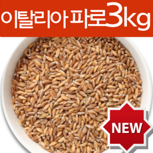 하늘정연 Fao 이탈리아 파로 곡물 파로쌀 고대곡물 엠머밀 효능 엠머파로, 3개, 1kg