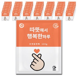 해피데이 행복한 핫팩 포켓형 100g, 50개