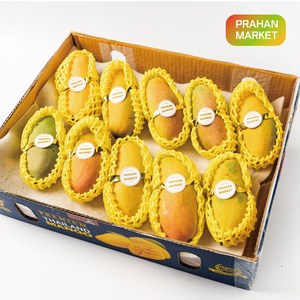 [특가할인] 항공직송 프리미엄 무지개 망고 마하차녹, 5kg (12~16과내외), 1개