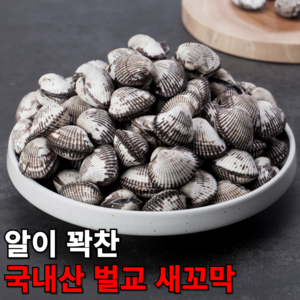 큰바다 국내산 조업한 제철 남해안 여수 벌교 새꼬막, 1개, 왕대3kg