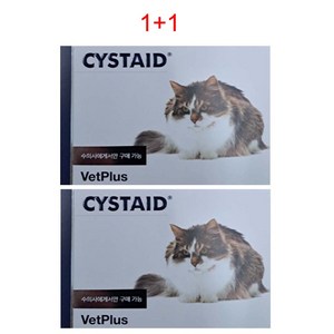 [1+1] 고양이 캣 시스테이드 플러스 30캡슐 고양이 캣 영양보조제, 30정, 신장, 2개