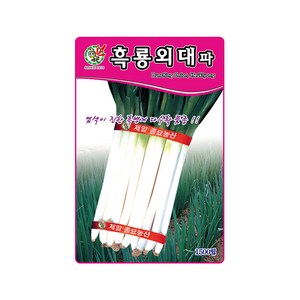 대파씨앗 흑룡외대파 1500립 교배종 다수확 월동 재배, 1개