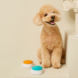 모멍트 강아지 녹음벨, 오렌지.민트