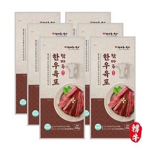 프리미엄 탐마루 한우 육포 40g, 6개