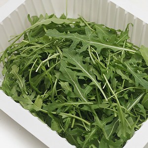 쉐프의정원 와일드 루꼴라 500g, 1개