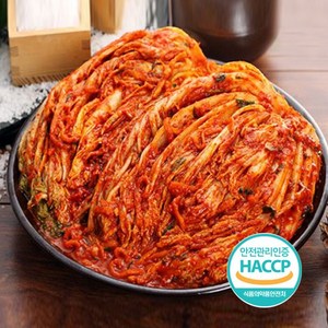 [총각네김치/포기김치_2kg-10kg] 담근_엄마 손맛 포기김치, [총각네김치／포기김치_5kg], 5kg, 1개