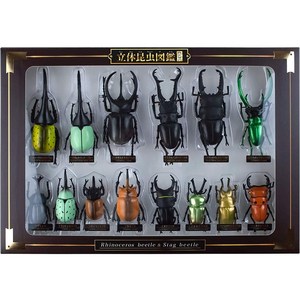일본 입체곤충 리얼 곤충 도감 장수풍뎅이 헤라클레스 코카서스 사슴벌레 왕넓적사슴벌레 표본 리얼 피규어