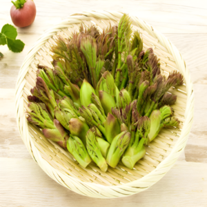 [무농약청정재배] 참두릅 최상품 자연산 산지직송, 1개, 1kg