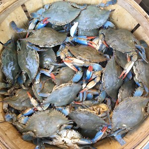 이탈리아 꽃게 1KG (1KG당 3~4미), 1개, 대 (1KG 3~4미)