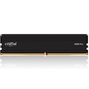 마이크론 Cucial DDR5-5600 CL46 PRO 아스크텍 (16GB), 선택하세요, 1개