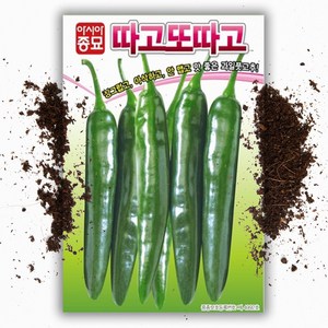 씨앗팜 안매운 고추씨앗 (30립), 1개