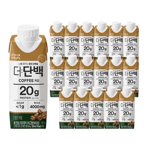 빙그레 더단백 드링크 커피, 250ml, 9개