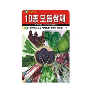 10종 모듬 쌈채 씨앗 1000립 채소 씨 텃밭 야채 키우기, 1개