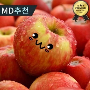 [쿠팡특가] 달콤아삭 부사사과 가정용 못난이사과, 1개, 3kg(17과 내외)