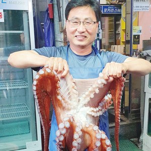 백두대간농수산 경북 영주 자숙 통 문어 1 2 3 kg 동해 참문어 선물용 제수용 안주짝다리, 1kg(선물0제수용), 1개