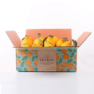 고당도 서귀포 한라봉 벌크포장/선물포장 당도보장 12brix이상, 1박스, 4.5kg 25-35과 중소과