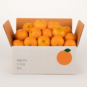 깨비농원 비가림감귤, 1.2kg 소과(2S), 1박스