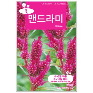중포장꽃씨 맨드라미 1000립, 1개