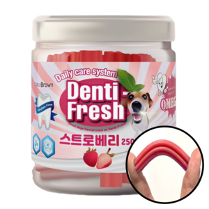 덴티프레쉬 애견 덴탈껌 250g, 딸기, 1개
