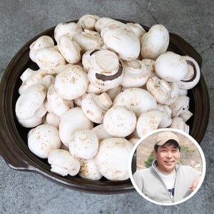 전대표 부여 못난이 양송이버섯 산지직송 ugly white button mushroom, 1개, 1kg