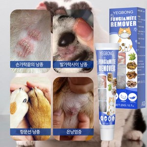 강아지 고양이 피부 연고 D-09, 1개, 20g