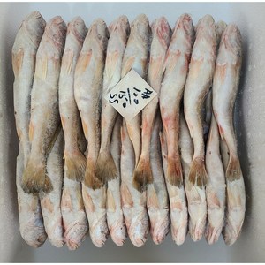 업소용 민어조기 10kg 85마리 침조기 참조기 민어조기 도매 대용량, 1개, 10kg 85마리 전후