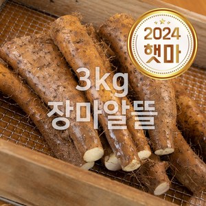 안동 태산농장 장마 2kg 3kg 5kg, 1박스, 3kg (g.장마알뜰)