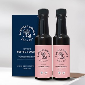 루왁커피 더치 사향고양이 커피 콜드브루 원액, 1개, 2개입, 250ml