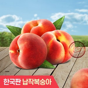 [한국판 납작복숭아] 대극천 복숭아 5~28과, 1박스, 로얄과 1kg(5~9과)