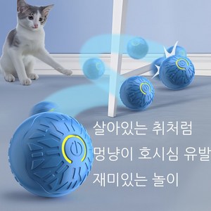 메호라 고양이 자동으로 움직이는 쥐잡기 놀이 스마트볼 장난감, 블루, 1개