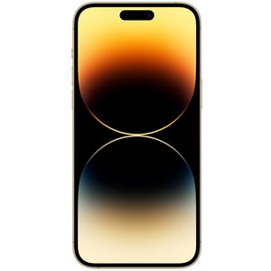 Apple 정품 아이폰 14 Pro Max 자급제, 골드, 512GB