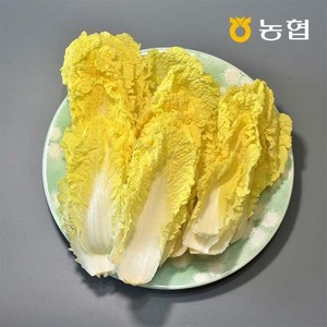 GAP인증 농협선별 쌈용 맛배추 400g, 01.쌈용 맛배추 400g, 1개