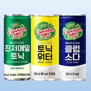 캐나다드라이 250ml 혼합 30캔 진저에일10+토닉워터10+클럽소다10, 없음, 30개