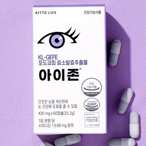 아이존 눈건강영양제 특허 신기술 포도과피효소 루테인, 60정, 25.2g, 1박스