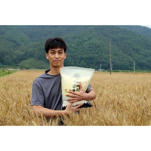 2024년 햇밀!! 황금알 통밀가루(강력분+), 1kg, 1개