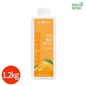 서울팩토리 리얼 망고 베이스, 1.2kg, 1개