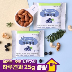 하루견과 블루베리, 25g, 100개