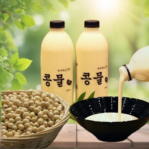 [순진식품] 순수하고 진한 우뭇가사리 콩물 (국내산 콩 100%), 2개, 500ml