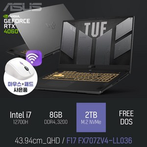 ASUS TUF Gaming F17 FX707ZV4-LL036 [이벤트 한정특가 / 사은품증정], Free DOS, 8GB, 2TB, 코어i7, 그레이