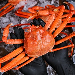 [당일조업] 초가성비 B급 포항 구룡포 자숙 연지홍게, 3kg (10미 내외), 1개