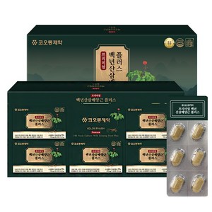 코오롱제약 프리미엄 백년산삼배양근 플러스 4개월분, 4개, 100g